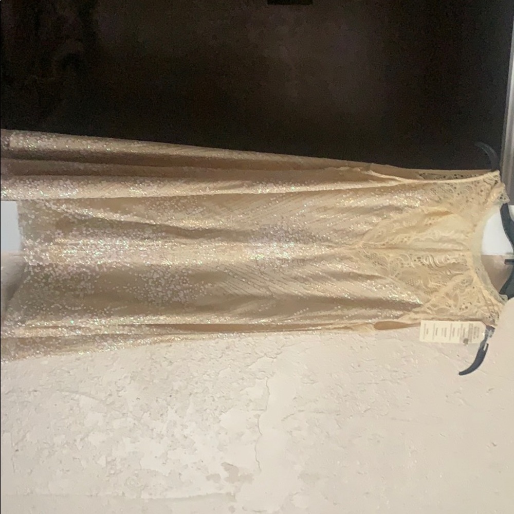Southern fried Chics dress